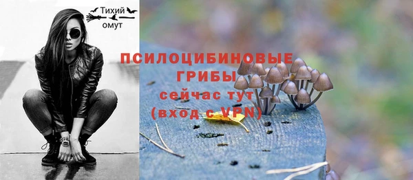 гидропоника Арсеньев