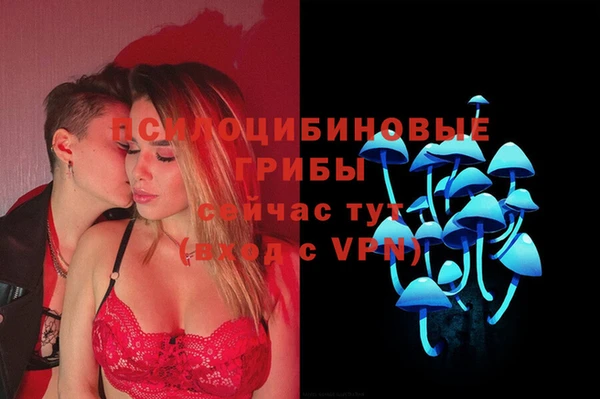 твердый Армянск