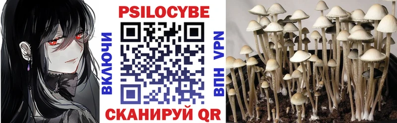 наркотики  Никольск  Псилоцибиновые грибы Psilocybe 